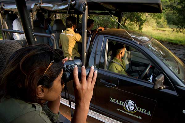Mahoora, Sri Lanka Safari