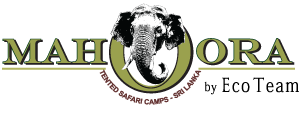 Mahoora tented safari camps logo