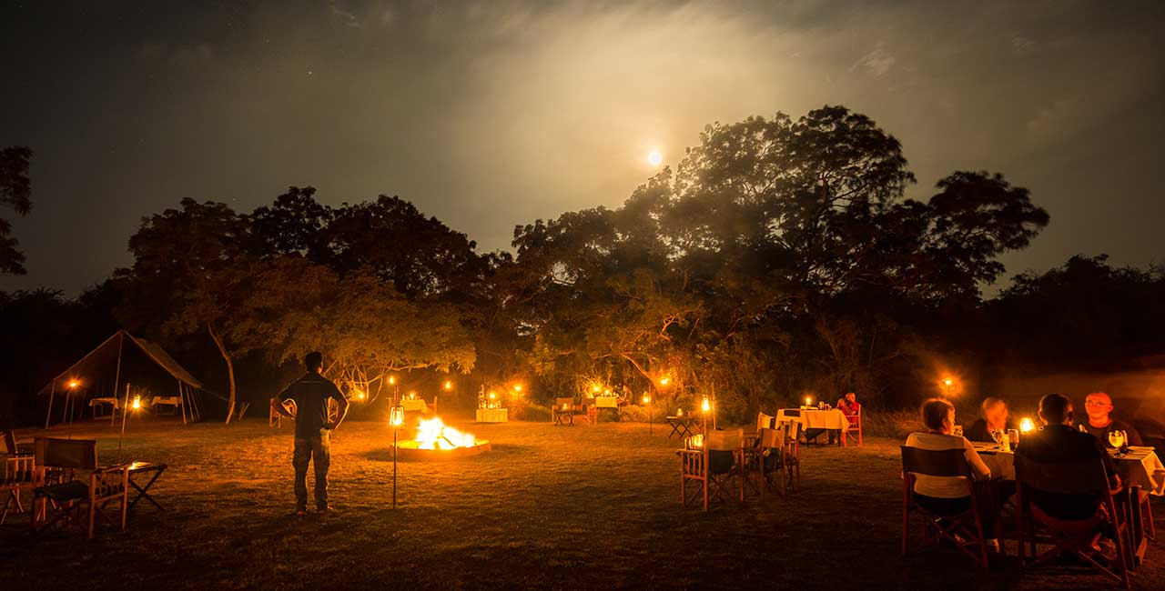 A campfire at night beneath large trees, with guests and lanterns around it.